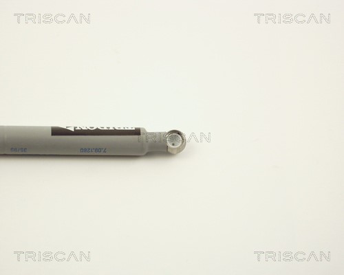 Linkage Damper, injection system TRISCAN 87102309 3