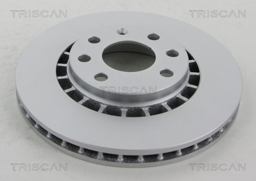 Brake Disc TRISCAN 812024110C