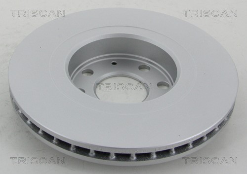 Brake Disc TRISCAN 812024110C 2
