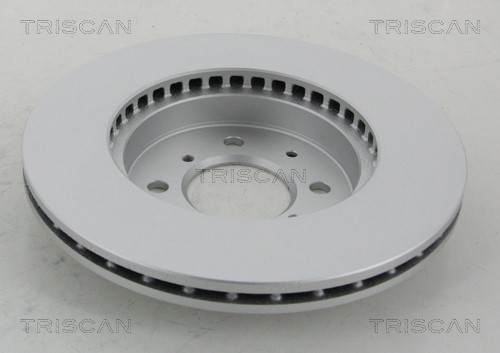 Brake Disc TRISCAN 812040113C 2