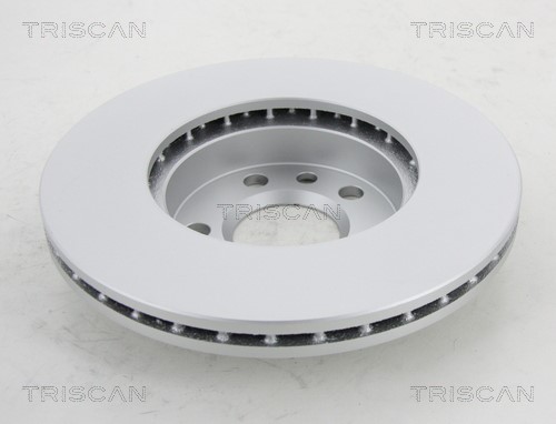 Brake Disc TRISCAN 812010145C 2