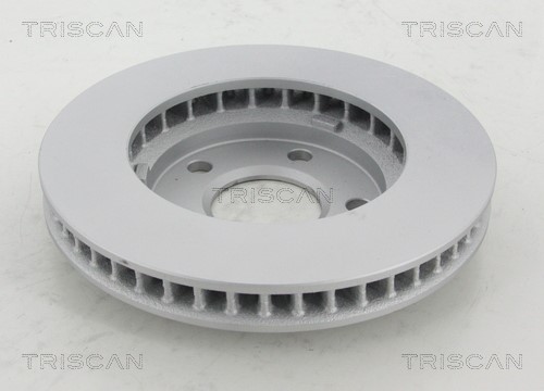 Brake Disc TRISCAN 812024131C 2