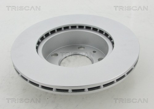 Brake Disc TRISCAN 812010141C 2