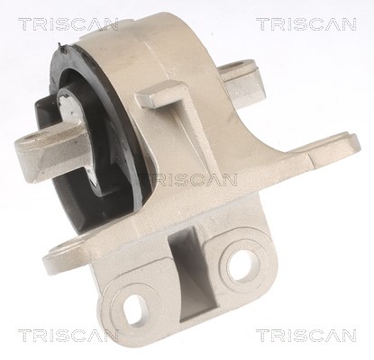 Mounting, engine TRISCAN 850510129 2