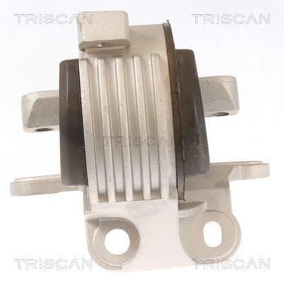 Mounting, engine TRISCAN 850510129 3
