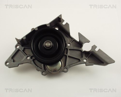 Water Pump, engine cooling TRISCAN 860029029