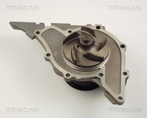 Water Pump, engine cooling TRISCAN 860029029 2