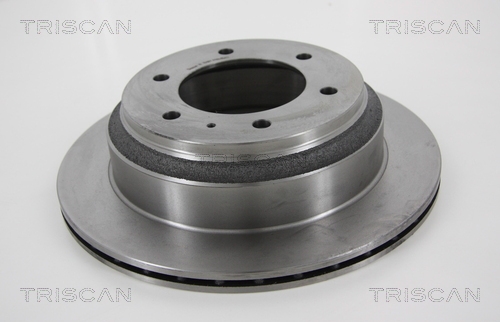 Brake Disc TRISCAN 812010181