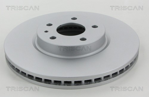 Brake Disc TRISCAN 812016174C