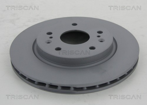 Brake Disc TRISCAN 812069138C