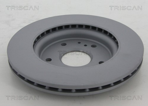 Brake Disc TRISCAN 812069138C 2