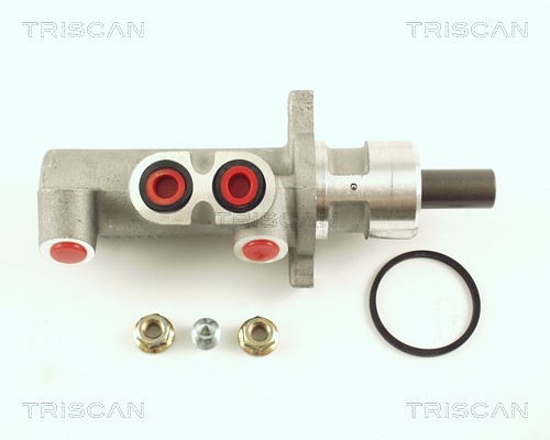 Brake Master Cylinder TRISCAN 813016139