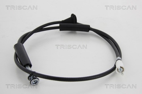 Speedometer Cable TRISCAN 814010407