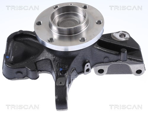 Wheel Bearing Kit TRISCAN 853529002