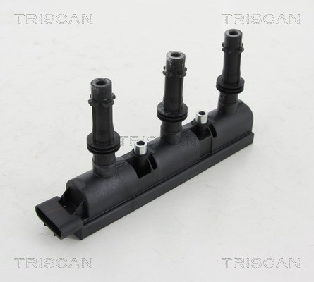 Ignition Coil TRISCAN 886024038