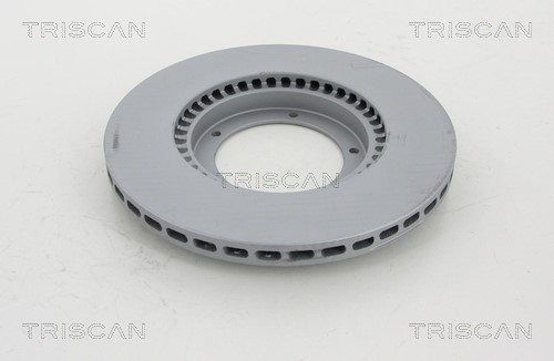 Brake Disc TRISCAN 812029170C 2