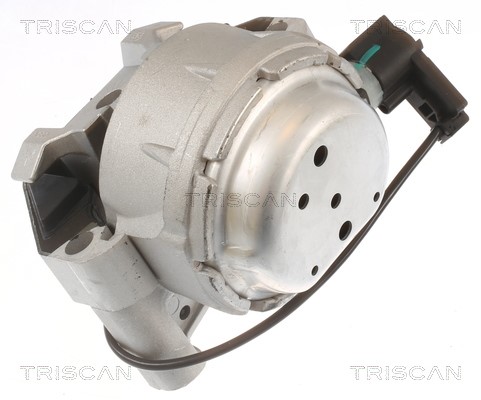 Mounting, engine TRISCAN 850529171