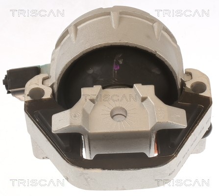 Mounting, engine TRISCAN 850529171 3