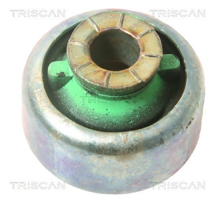 Mounting, control/trailing arm TRISCAN 850010816