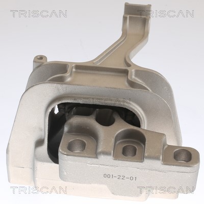 Mounting, engine TRISCAN 850529129 2