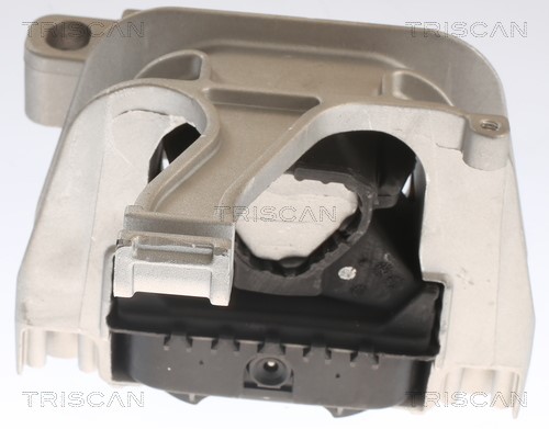 Mounting, engine TRISCAN 850529129 3