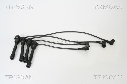 Ignition Cable Kit TRISCAN 88604206