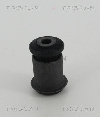 Mounting, control/trailing arm TRISCAN 850024882