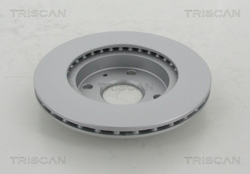 Brake Disc TRISCAN 812041110C 2