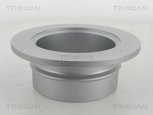 Brake Disc TRISCAN 812023195C 2