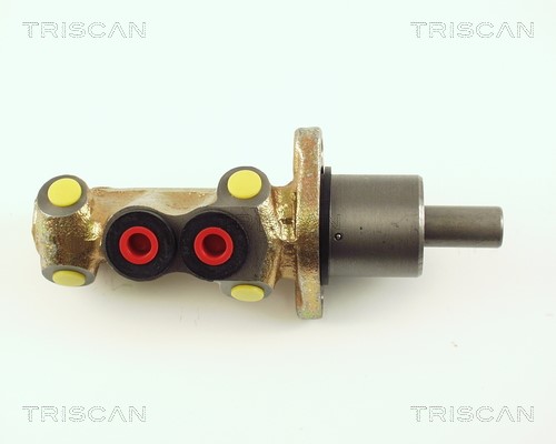 Brake Master Cylinder TRISCAN 813029103