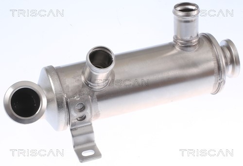Cooler, exhaust gas recirculation TRISCAN 881310111 2