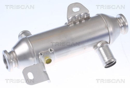 Cooler, exhaust gas recirculation TRISCAN 881328102 3