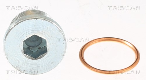 Screw Plug, oil sump TRISCAN 95001007 2