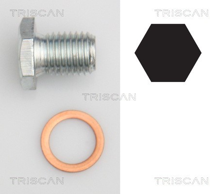Screw Plug, oil sump TRISCAN 95001103