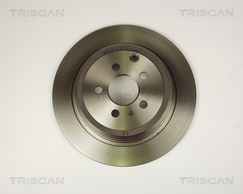 Brake Disc TRISCAN 812010143