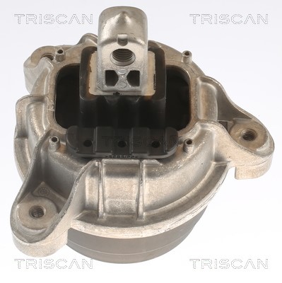 Mounting, engine TRISCAN 850511118