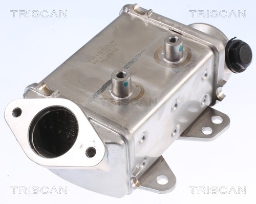 Cooler, exhaust gas recirculation TRISCAN 881310113 2