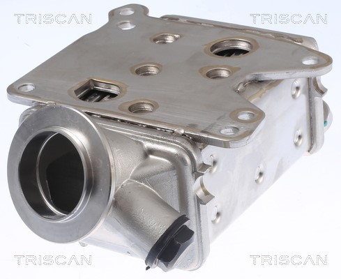 Cooler, exhaust gas recirculation TRISCAN 881310113 3