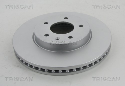 Brake Disc TRISCAN 8120101017C
