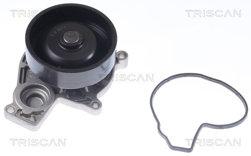 Water Pump, engine cooling TRISCAN 860011053