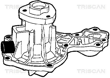 Water Pump, engine cooling TRISCAN 860029812 2