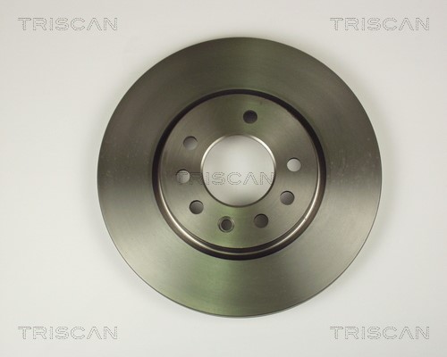 Brake Disc TRISCAN 812024116