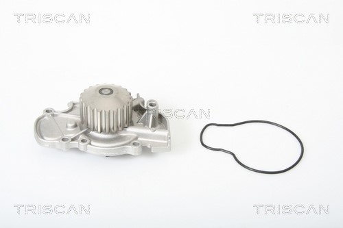 Water Pump, engine cooling TRISCAN 860040114