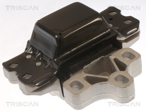 Mounting, engine TRISCAN 850529116