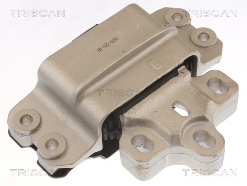Mounting, engine TRISCAN 850529116 2