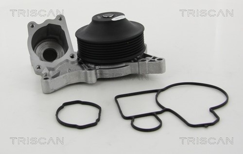 Water Pump, engine cooling TRISCAN 860011967