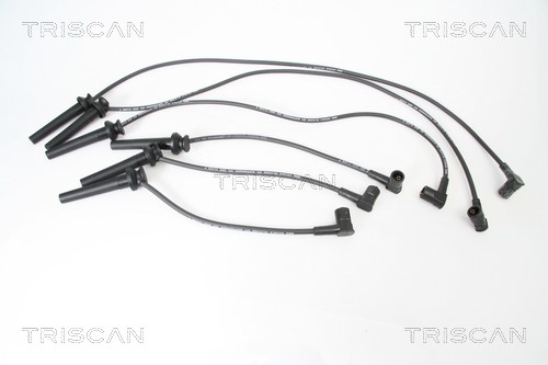 Ignition Cable Kit TRISCAN 886016012