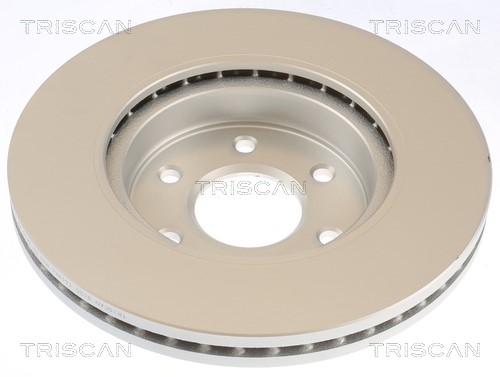 Brake Disc TRISCAN 812014196C 2