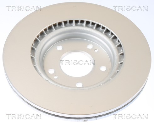 Brake Disc TRISCAN 812043179C 2