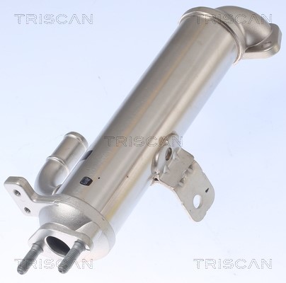 Cooler, exhaust gas recirculation TRISCAN 881343102